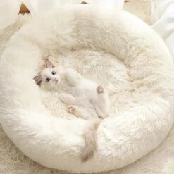 Bonbox Shop - Maat S - Donut Bed In Wit - Dierenmand Voor Katten, Kittens En Kleine Honden - Knus Mandje - Donutbed Diameter 40 Cm - Anti Anxiety 11 Bonbox Shop - Maat S - Donut Bed In Wit - Dierenmand Voor Katten, Kittens En Kleine Honden - Knus Mandje - Donutbed Diameter 40 Cm - Anti Anxiety -Merkloos Winkel 1200x1200 791