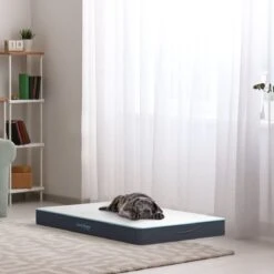 CozySense® - Orthopedisch Hondenkussen - Hondenkussen 90 X 55 Cm - Ook Geschikt Als Benchkussen & Hondenbed - Hondenkussen Bank - Traagschuim - Waterdicht - Wasbare Hoes - Maat L 15 CozySense® - Orthopedisch Hondenkussen - Hondenkussen 90 X 55 Cm - Ook Geschikt Als Benchkussen & Hondenbed - Hondenkussen Bank - Traagschuim - Waterdicht - Wasbare Hoes - Maat L -Merkloos Winkel 1200x1200 806