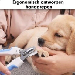Professionele Nagelschaar|Nagelschaar Hond | Nagelschaar Kat| Nagelknipper Hond En Kat| Nagelknipper Kat| Nagelknipper Hond|NagelTang Dieren|Poot Verzorging -Merkloos Winkel 1200x1200 81