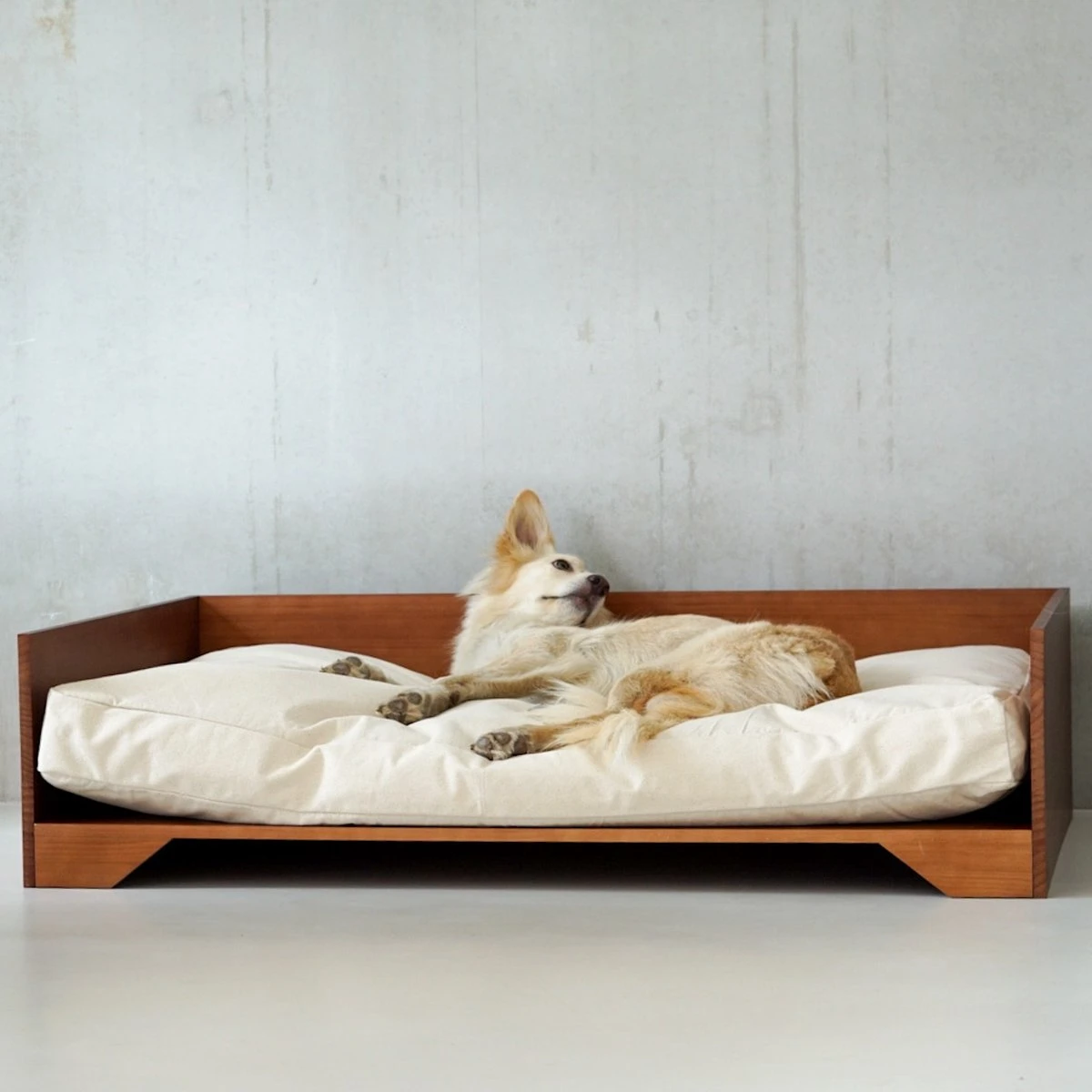 STUDIO ANIMAUX Hondenmand Met Katoenen Kussen (maat L) | 119 X 76,5 Cm | Hondenbed | Hondensofa | Hondenbank | Hout | Bruin 9 STUDIO ANIMAUX Hondenmand Met Katoenen Kussen (maat L) | 119 X 76,5 Cm | Hondenbed | Hondensofa | Hondenbank | Hout | Bruin - Afbeelding 7