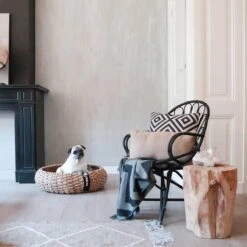 District 70 COCOON - Luxe Hondenmand Van Duurzaam Hoogwaardig Riet Met Zacht Kussen - Maten S/M/L - Large -Merkloos Winkel 1200x1200 855