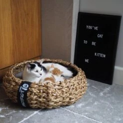 District 70 COCOON - Luxe Hondenmand Van Duurzaam Hoogwaardig Riet Met Zacht Kussen - Maten S/M/L - Large -Merkloos Winkel 1200x1200 859