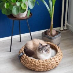 District 70 COCOON - Luxe Hondenmand Van Duurzaam Hoogwaardig Riet Met Zacht Kussen - Maten S/M/L - Large -Merkloos Winkel 1200x1200 866