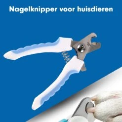 Professionele Nagelschaar|Nagelschaar Hond | Nagelschaar Kat| Nagelknipper Hond En Kat| Nagelknipper Kat| Nagelknipper Hond|NagelTang Dieren|Poot Verzorging -Merkloos Winkel 1200x1200 88