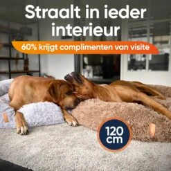 Happysnoots Hondenmand Met Rits - 80cm - Hondenbed - Donut Dog Bed - Fluffy - Grijs - Wasbaar 19 Happysnoots Hondenmand Met Rits - 80cm - Hondenbed - Donut Dog Bed - Fluffy - Grijs - Wasbaar -Merkloos Winkel 1200x1200 880