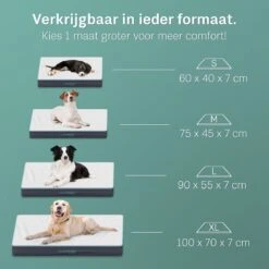 CozySense® - Orthopedisch Hondenkussen - Hondenkussen 75 X 45 Cm - Ook Geschikt Als Benchkussen & Hondenbed - Hondenkussen Bank - Traagschuim - Waterdicht - Wasbare Hoes - Maat M 11 CozySense® - Orthopedisch Hondenkussen - Hondenkussen 75 X 45 Cm - Ook Geschikt Als Benchkussen & Hondenbed - Hondenkussen Bank - Traagschuim - Waterdicht - Wasbare Hoes - Maat M -Merkloos Winkel 1200x1200 899