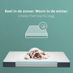 CozySense® - Orthopedisch Hondenkussen - Hondenkussen 75 X 45 Cm - Ook Geschikt Als Benchkussen & Hondenbed - Hondenkussen Bank - Traagschuim - Waterdicht - Wasbare Hoes - Maat M 13 CozySense® - Orthopedisch Hondenkussen - Hondenkussen 75 X 45 Cm - Ook Geschikt Als Benchkussen & Hondenbed - Hondenkussen Bank - Traagschuim - Waterdicht - Wasbare Hoes - Maat M -Merkloos Winkel 1200x1200 901