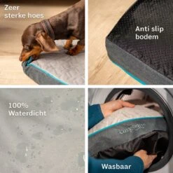 CozySense® - Orthopedisch Hondenkussen - Hondenkussen 75 X 45 Cm - Ook Geschikt Als Benchkussen & Hondenbed - Hondenkussen Bank - Traagschuim - Waterdicht - Wasbare Hoes - Maat M 16 CozySense® - Orthopedisch Hondenkussen - Hondenkussen 75 X 45 Cm - Ook Geschikt Als Benchkussen & Hondenbed - Hondenkussen Bank - Traagschuim - Waterdicht - Wasbare Hoes - Maat M -Merkloos Winkel 1200x1200 904