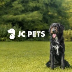 JC Pets Premium Pluizenborstel - Huisdierhaar Verwijderaar – Pluizenverwijderaar – Honden En Kattenhaar Verwijderaar - Ontpluizer - Pluizenroller -Merkloos Winkel 1200x1200 91