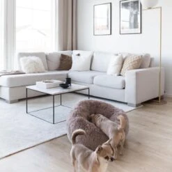 District 70 FUZZ - Hondenmand Comfortabel En Zacht Pluche - Zand, Oudroze, Donkergrijs En Lichtgrijs In S/M/L/XL - Maat: Medium, Kleur: Zand 28 District 70 FUZZ - Hondenmand Comfortabel En Zacht Pluche - Zand, Oudroze, Donkergrijs En Lichtgrijs In S/M/L/XL - Maat: Medium, Kleur: Zand -Merkloos Winkel 1200x1200 928