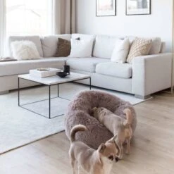 District 70 FUZZ - Hondenmand Comfortabel En Zacht Pluche - Zand, Oudroze, Donkergrijs En Lichtgrijs In S/M/L/XL - Maat: Medium, Kleur: Zand 33 District 70 FUZZ - Hondenmand Comfortabel En Zacht Pluche - Zand, Oudroze, Donkergrijs En Lichtgrijs In S/M/L/XL - Maat: Medium, Kleur: Zand -Merkloos Winkel 1200x1200 930