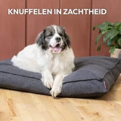 Snoozle Orthopedische Hondenmand - Zacht En Luxe Hondenkussen - Hondenbed - Wasbaar - Hondenmanden - 100 X 70 Cm - Groen 20 Snoozle Orthopedische Hondenmand - Zacht En Luxe Hondenkussen - Hondenbed - Wasbaar - Hondenmanden - 100 X 70 Cm - Groen -Merkloos Winkel 1200x1200 938