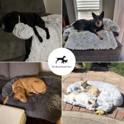Premium Hondendeken Bank - Hondenkussens - Hondenmand Bank - Hondendeken Voor Op De Bank - Bankbeschermer - Donkergrijs 16 Premium Hondendeken Bank - Hondenkussens - Hondenmand Bank - Hondendeken Voor Op De Bank - Bankbeschermer - Donkergrijs -Merkloos Winkel 1200x1200 989