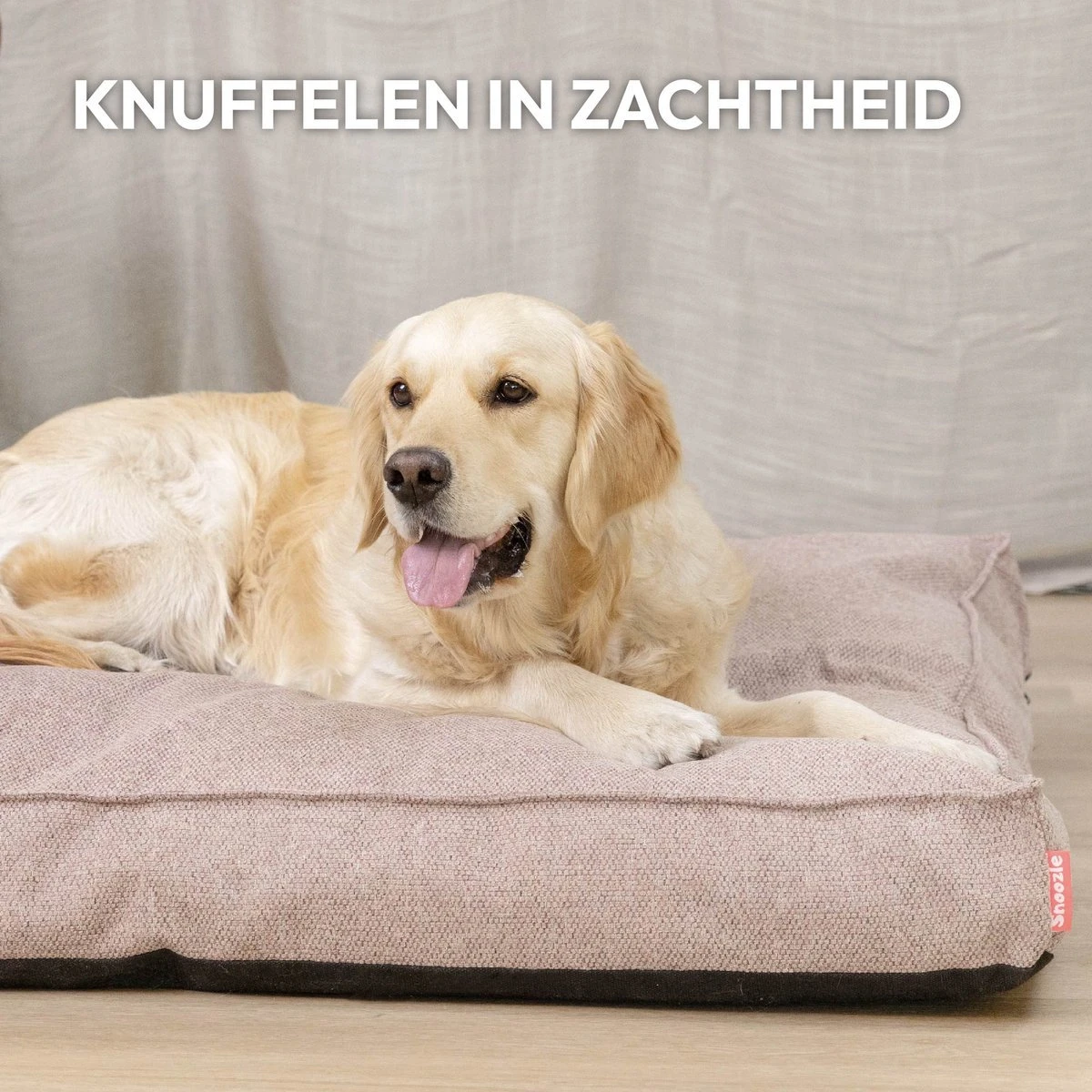 Snoozle Orthopedische Hondenmand - Zacht En Luxe Hondenkussen - Hondenbed - Wasbaar - Hondenmanden - 80 X 55 Cm - Desert Pink 5 Snoozle Orthopedische Hondenmand - Zacht En Luxe Hondenkussen - Hondenbed - Wasbaar - Hondenmanden - 80 X 55 Cm - Desert Pink - Afbeelding 3
