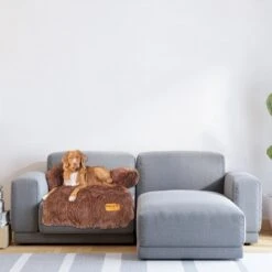 Origineel Hondendeken Voor Bank– Hondenkleed Fluffy – Pluche Hondenbed - Hondenmand Premium - Volledig Afritsbaar 13 Origineel Hondendeken Voor Bank– Hondenkleed Fluffy – Pluche Hondenbed - Hondenmand Premium - Volledig Afritsbaar -Merkloos Winkel 1200x1200 999