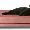 Maxxpro Katten- En Hondenbank - Roze - Verhoogd Met Houten Poten - Fluweel Materiaal - 90 X 44 X 34 CM - Huisdieren Tot 80 KG -Merkloos Winkel 1200x585 3
