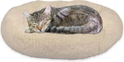 Peaceful Pooch S - Pluizig Hondenbed - 58cm Diameter - Opvouwbaar - In Verschillende Maten. Kattenbed - Wasbaar - Uitneembare Vulling - Ontspant Gewrichten En Spieren - Anti-slip Noppenbodem 9 Peaceful Pooch S - Pluizig Hondenbed - 58cm Diameter - Opvouwbaar - In Verschillende Maten. Kattenbed - Wasbaar - Uitneembare Vulling - Ontspant Gewrichten En Spieren - Anti-slip Noppenbodem -Merkloos Winkel 1200x602 1