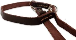 Multifunctionele Hondenriem - 220cm - Bruin - Leren Hondenriem - 100% Volnerfleer - Hondenriem Leer - Leiband Hond 16 Multifunctionele Hondenriem - 220cm - Bruin - Leren Hondenriem - 100% Volnerfleer - Hondenriem Leer - Leiband Hond -Merkloos Winkel 1200x631 3