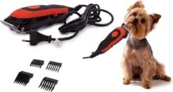 HTC Professionele Hondentondeuse - Haartrimmer Voor Honden En Katten - Krachtige Motor - Werkt Op 220V - Katten Tondeuses - Katten & Honden Trimset - Hondentrimmer - Dierentondeuse - Weinig Decibel- Met Opbergkoffer -Merkloos Winkel 1200x640