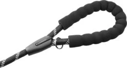 Comfortabele Hondenriem Met Gevoerd Handvat – Stevige Nylon Hondenlijn – Riem Voor Honden -Merkloos Winkel 1200x647