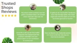 TraumaPet Tandpasta Met Colloïdaal Zilver Voor Dieren | Met Vleessmaak | Bij Stinkende Adem | Tandplak | Geïrriteerd Tandvlees | Tandsteen -Merkloos Winkel 1200x666