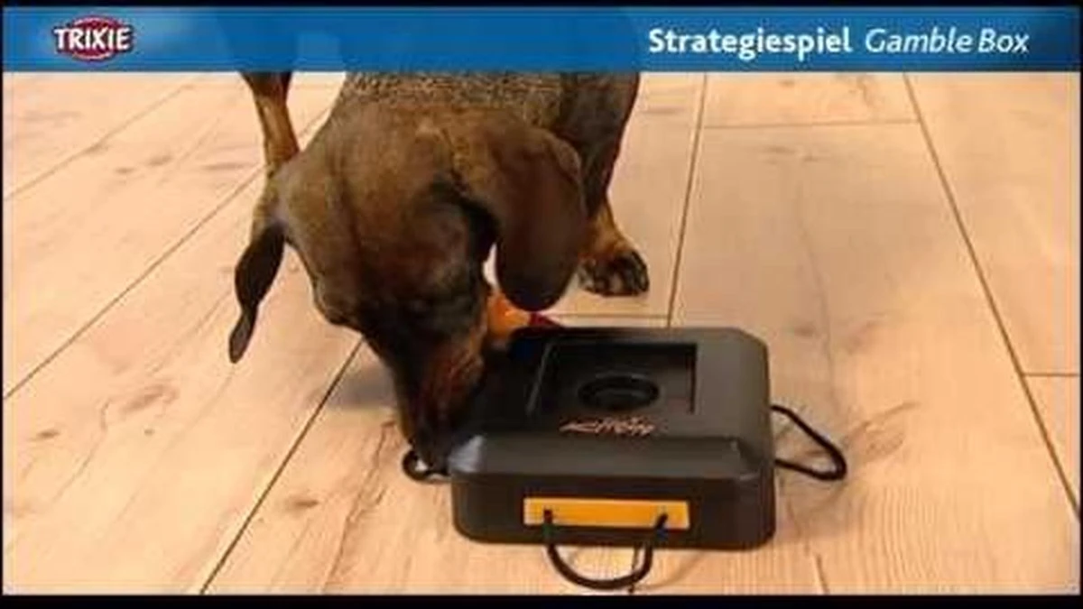 Trixie Dogtoy Dog Activity Strategy Game Gamble Box - Piepend Speelgoed - 15cm X 15cm X 9cm - Zwart/rood/oranje 15 Trixie Dogtoy Dog Activity Strategy Game Gamble Box - Piepend Speelgoed - 15cm X 15cm X 9cm - Zwart/rood/oranje - Afbeelding 13