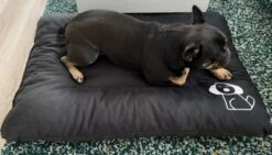 Hondenkussen XL - Donkergrijs - 60 X 90 X 12 -Merkloos Winkel 1200x685