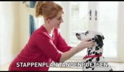 Beaphar Tandenborstel 12 Beaphar Tandenborstel -Merkloos Winkel 1200x697 2