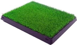 Merkloos Maoo Premium Hondentoilet - Geurbestendig & Hondvriendelijk Kunstgras - Uitneembare Opvangbak - Indoor En Outdoor - 63 X 50 Cm -Merkloos Winkel 1200x698