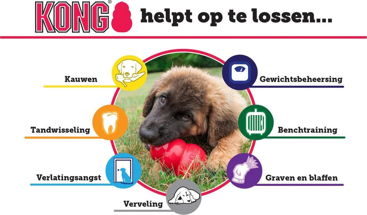 Kong Puppy - Kauwbot Hondenspeelgoed Small - Kauwbot - 85mm X 42mm - Groen/Wit 13 Kong Puppy - Kauwbot Hondenspeelgoed Small - Kauwbot - 85mm X 42mm - Groen/Wit - Afbeelding 11