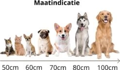 Behave Donut Hondenmand - Hondenkussen - Hondenbed - Kattenmand - Fluffy - Donut - 50cm - Beige -Merkloos Winkel 1200x706 2