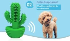 Tandenborstel + TANDPASTA Hond Melk Geur Smaak En Piep Honden Speelgoed - Cactus Dog Toy Tandverzorging Kauwbotten Hondenspeelgoed Hondenbot Kauwstaaf Tanden Puppy Hondenspeeltje Sterk Kauwspeelgoed - Dutchwide -Merkloos Winkel 1200x707