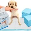 Mr. Poop Toodeloo -Puppy Pads - Training Pads - Maat S: 45 X 33cm - 30 Stuks -Merkloos Winkel 1200x717 1