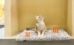 Merkloos Zelfverwarmende Dierendeken Zonder Stroom Thermo Deken Hond Kat Inclusief Adreslabel 70 X 47 Cm -Merkloos Winkel 1200x730