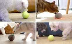 Cheerble Wicked Ball W1| Geel| Zelf Rollende Bal Voor Honden | 3 Automatische Speelmodi | Interactief En Intelligentie Hondenspeelgoed | Hondenspeeltje| USB Oplaadbaar 16 Cheerble Wicked Ball W1| Geel| Zelf Rollende Bal Voor Honden | 3 Automatische Speelmodi | Interactief En Intelligentie Hondenspeelgoed | Hondenspeeltje| USB Oplaadbaar -Merkloos Winkel 1200x741 1