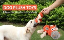 Merkloos Hondenknuffel - Interactief Piepspeelgoed Voor Honden - Teddy - Stoer Hondenkauwspeelgoed - Met Katoenen Materiaal En Gekreukt Papier - Hondenspeelgoed Voor Grote En Kleine Honden 14 Merkloos Hondenknuffel - Interactief Piepspeelgoed Voor Honden - Teddy - Stoer Hondenkauwspeelgoed - Met Katoenen Materiaal En Gekreukt Papier - Hondenspeelgoed Voor Grote En Kleine Honden -Merkloos Winkel 1200x742 5