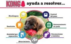 Kong Kauwbot - Hondenspeelgoed - Rood - S 19 Kong Kauwbot - Hondenspeelgoed - Rood - S -Merkloos Winkel 1200x745 3