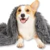 Fluffy Blanket - Pluche Hondendeken - 120 X 100 CM - Grijs - Voor De Auto Of Bank - Fleece 2 Fluffy Blanket - Pluche Hondendeken - 120 X 100 CM - Grijs - Voor De Auto Of Bank - Fleece -Merkloos Winkel 1200x749 2