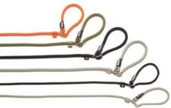 Rebel Petz - Honden Trainingslijn Met Halsband - Taupe, Zwart, Groen & Oranje - Maat Small Of Large - Kleur: Taupe, Maat: Large -Merkloos Winkel 1200x756 2