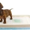 EasyPets Padhouder Honden Toilet 2 EasyPets Padhouder Honden Toilet -Merkloos Winkel 1200x780