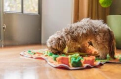 SNUFFIES® Snuffelmat Belle 60x50cm – Snuffelmat – Snuffelmatten - Honden Speelgoed - Honden Speelgoed Intelligentie - Snuffelmat Hond - Snuffelmatten – Hersenwerk – Honden Speeltjes – Puppy - Puppy Speelgoed - Honden Denkspelletjes -Merkloos Winkel 1200x783 1