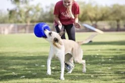 Jolly Pets Jolly Soccer Ball – Hondenspeelgoed – Hondenspeeltjes Voor Binnen En Buiten – Hondenbal Voor Honden – Hondenvoetbal – Jollyflex Stevig Kunststof – Drijvend Hondenspeeltje – Ø20cm – Licht Blauw -Merkloos Winkel 1200x797 8