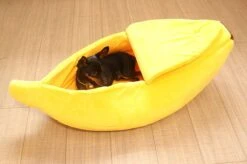 N/A Kattenhuis Banaan L - Hondenhuis Banaan L - 65x25x18 Cm - Kattenmand - Hondenmand - Dierenmand - Cadeau Kat -Merkloos Winkel 1200x799 11