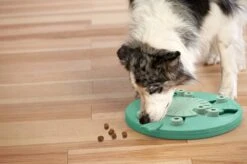 Nina Ottosson Dog Worker Composiet 34,5x34,5x5 Cm 18 Nina Ottosson Dog Worker Composiet 34,5x34,5x5 Cm -Merkloos Winkel 1200x799 13