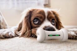 Wickedbone - Automatisch, Interactief En Intelligent Speelgoed Voor Honden - App & Bluetooth Bestuurbaar - USB Oplaadbaar -Merkloos Winkel 1200x799 16