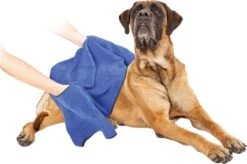 Dierenhanddoek Microvezel - Honden En Katten - Incl. Handvatten - 40x60 Cm - Blauw 8 Dierenhanddoek Microvezel - Honden En Katten - Incl. Handvatten - 40x60 Cm - Blauw -Merkloos Winkel 1200x799 2
