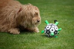 Honden Speelgoed Bal Voetbal Extra Sterk Met Handvaten Ball Hondenbal - 15 Cm - Dutchwide -Merkloos Winkel 1200x799 26
