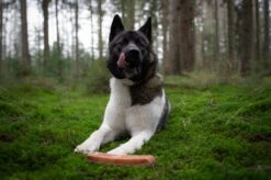 The Original Himalayan Yak Kauwbot Medium Puur Fit -Merkloos Winkel 1200x799 7