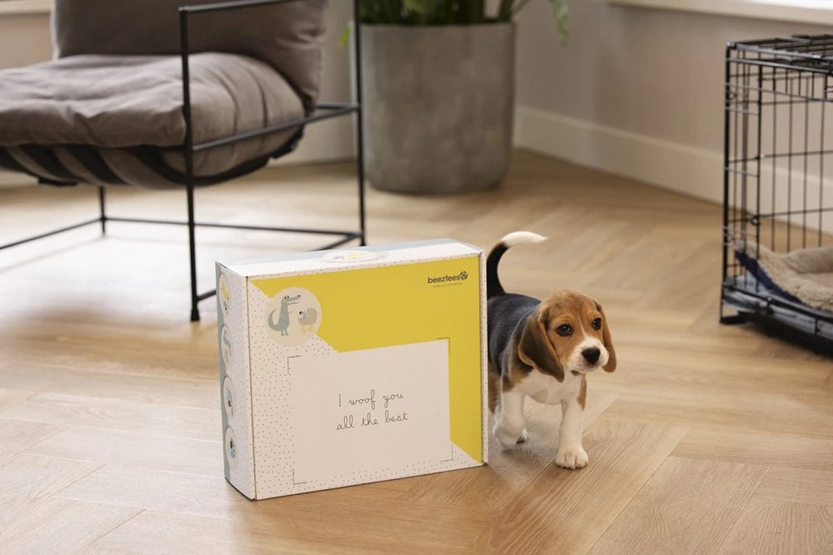 Merkloos Beeztees Puppy Cadeaupakket - Puppy Pakket - Leuke Box Met Puppy Speelgoed En Snacks 5 Merkloos Beeztees Puppy Cadeaupakket - Puppy Pakket - Leuke Box Met Puppy Speelgoed En Snacks - Afbeelding 3