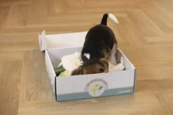 Merkloos Beeztees Puppy Cadeaupakket - Puppy Pakket - Leuke Box Met Puppy Speelgoed En Snacks 12 Merkloos Beeztees Puppy Cadeaupakket - Puppy Pakket - Leuke Box Met Puppy Speelgoed En Snacks -Merkloos Winkel 1200x800 107